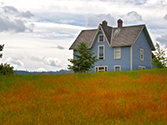 Home-9